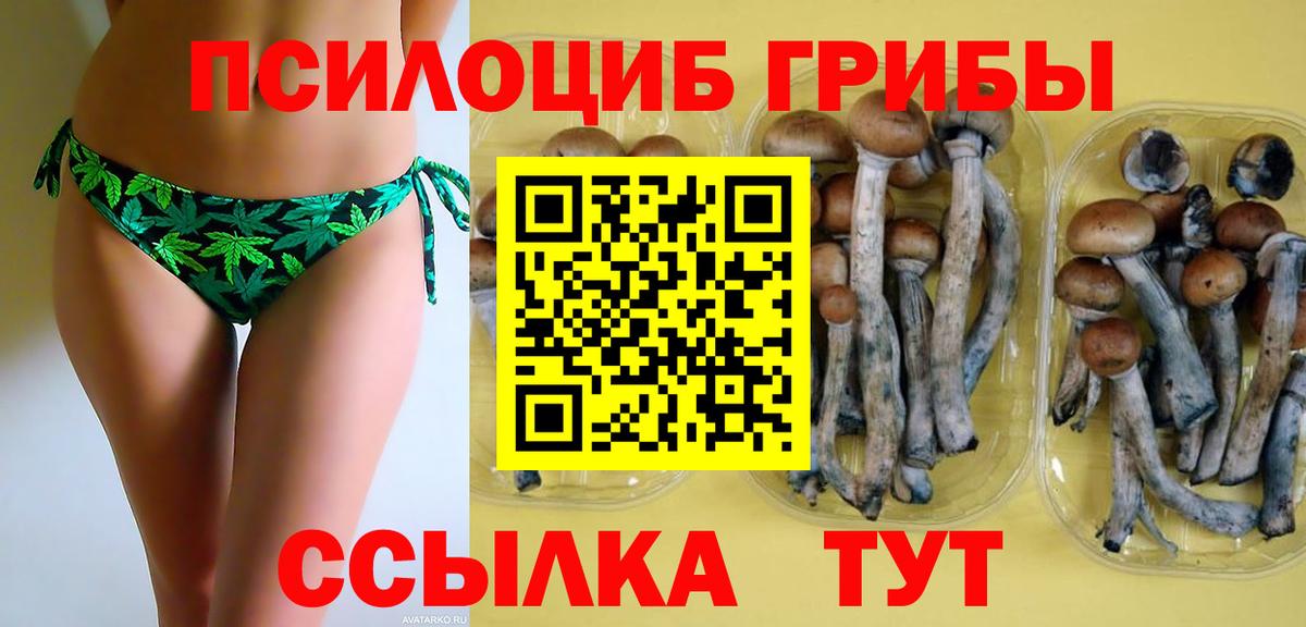 Псилоцибиновые грибы Psilocybine cubensis  купить   Галлюциногенные грибы прущие грибы  Амурск  Вход с VPN 